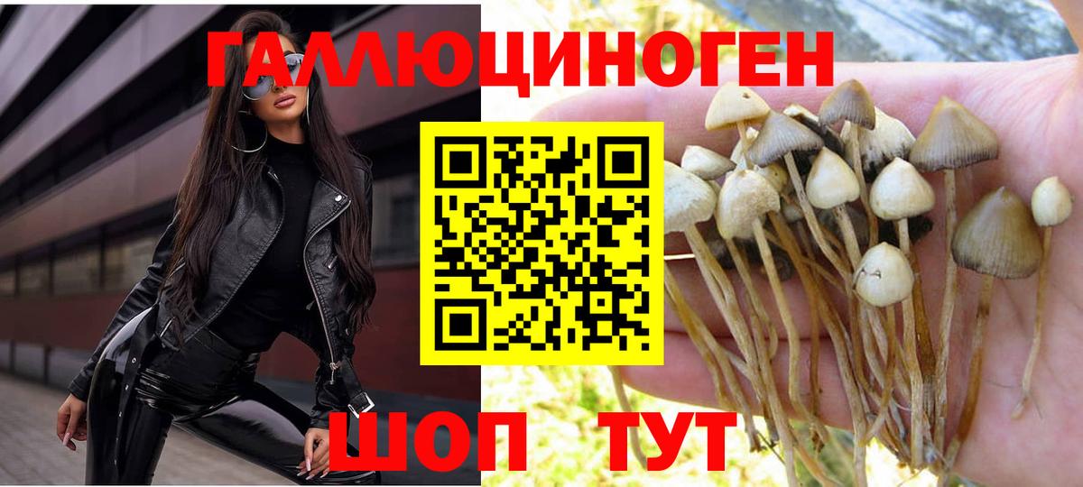 Галлюциногенные грибы прущие грибы Магнитогорск